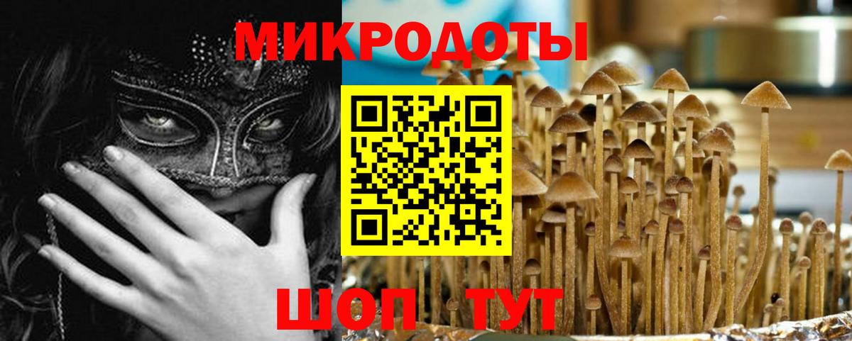 Галлюциногенные грибы MAGIC MUSHROOMS  Вход с VPN  Ставрополь 