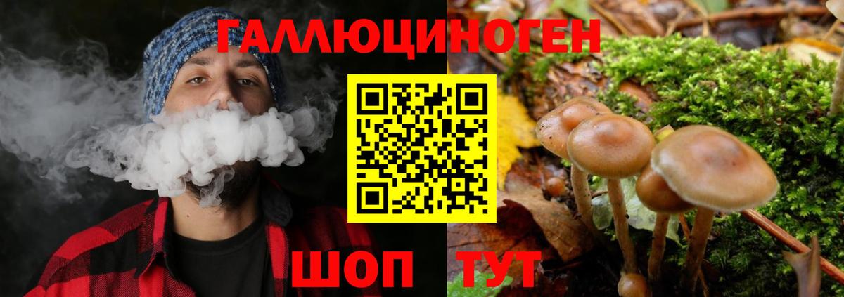Галлюциногенные грибы Cubensis Ставрополь